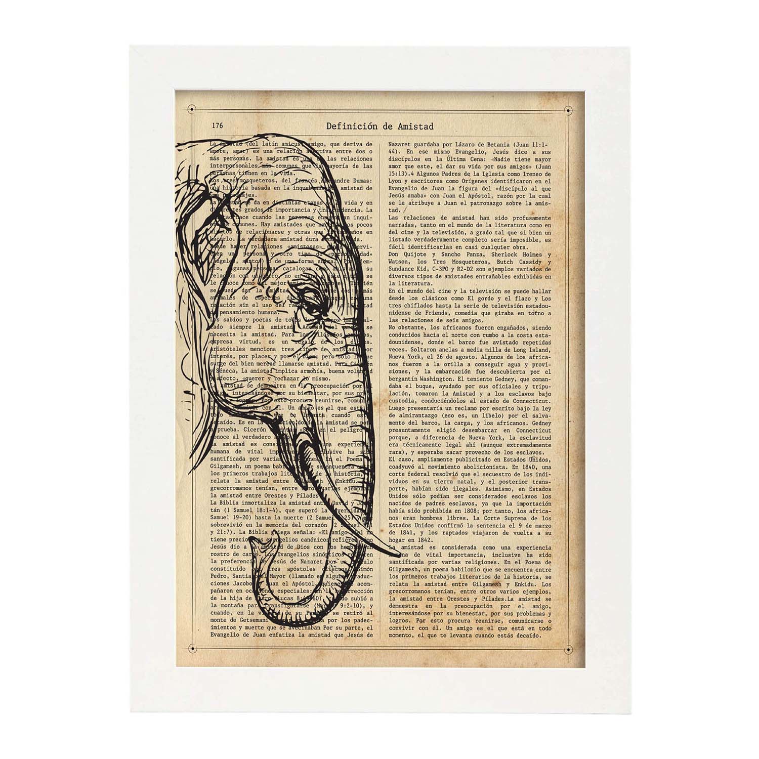 Poster de Memoria de Elefante con definición. Láminas de animales con texto y definición. Diseño de interiores basado en animales.-Artwork-Nacnic-A3-Marco Blanco-Nacnic Estudio SL