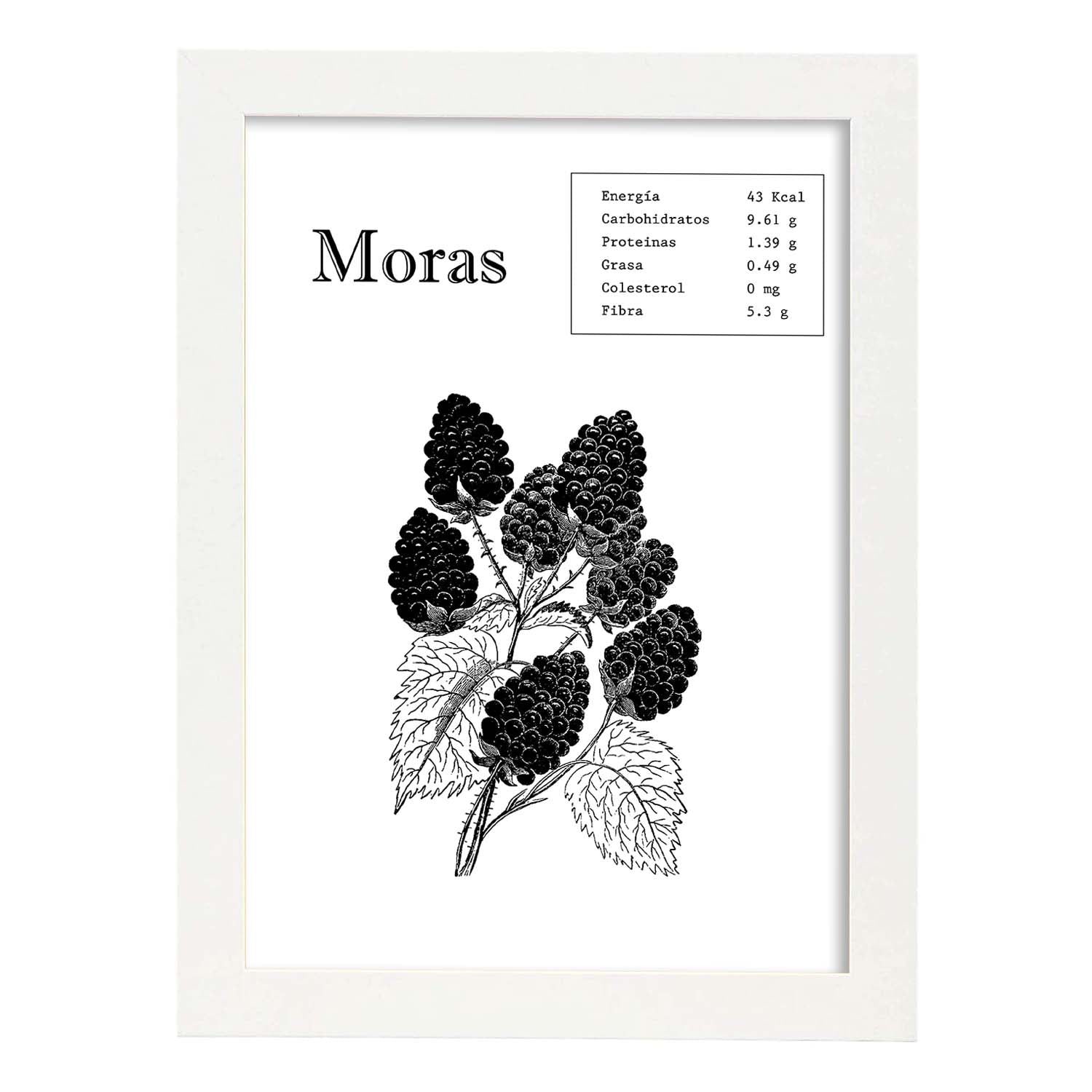 Poster de Moras. Láminas de frutas y verduras.-Artwork-Nacnic-A4-Marco Blanco-Nacnic Estudio SL