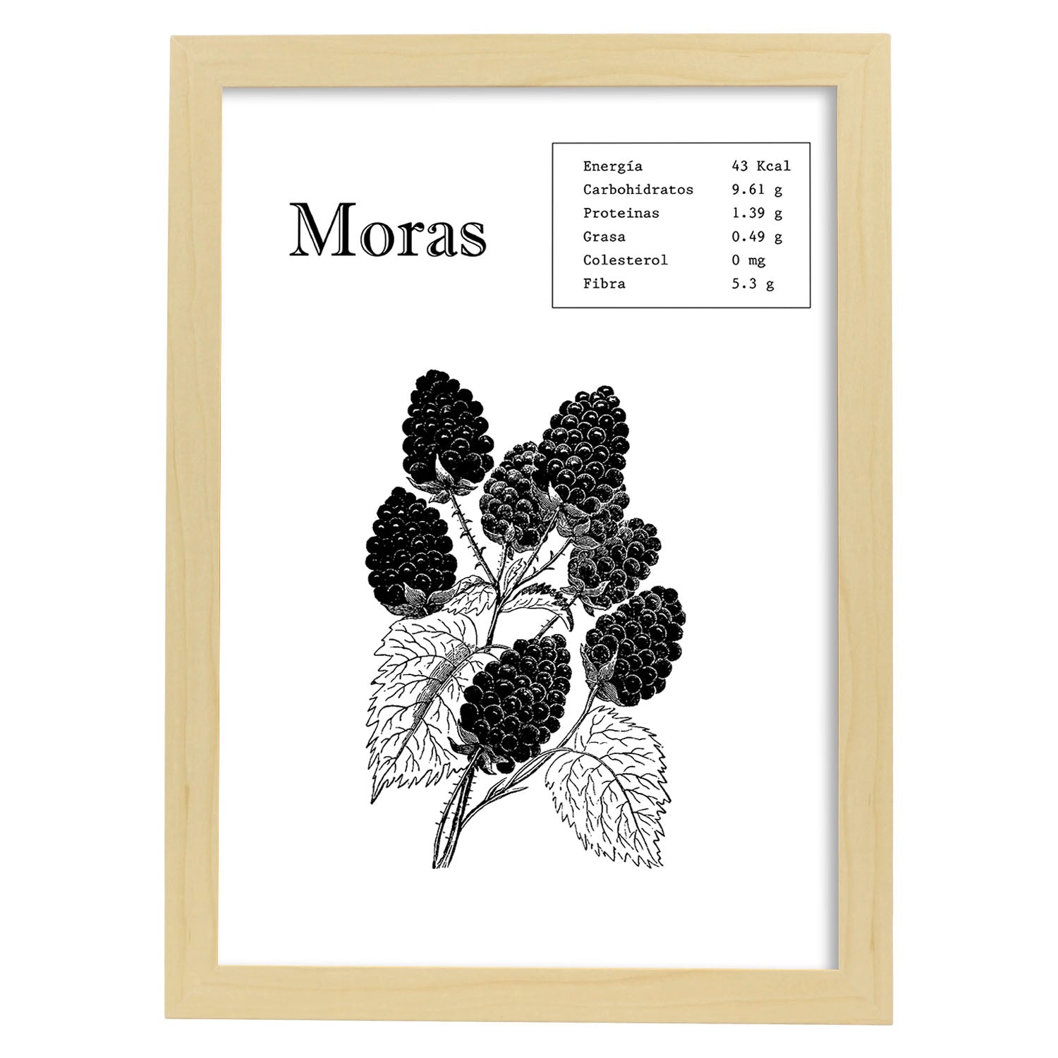 Poster de Moras. Láminas de frutas y verduras.-Artwork-Nacnic-A4-Marco Madera clara-Nacnic Estudio SL
