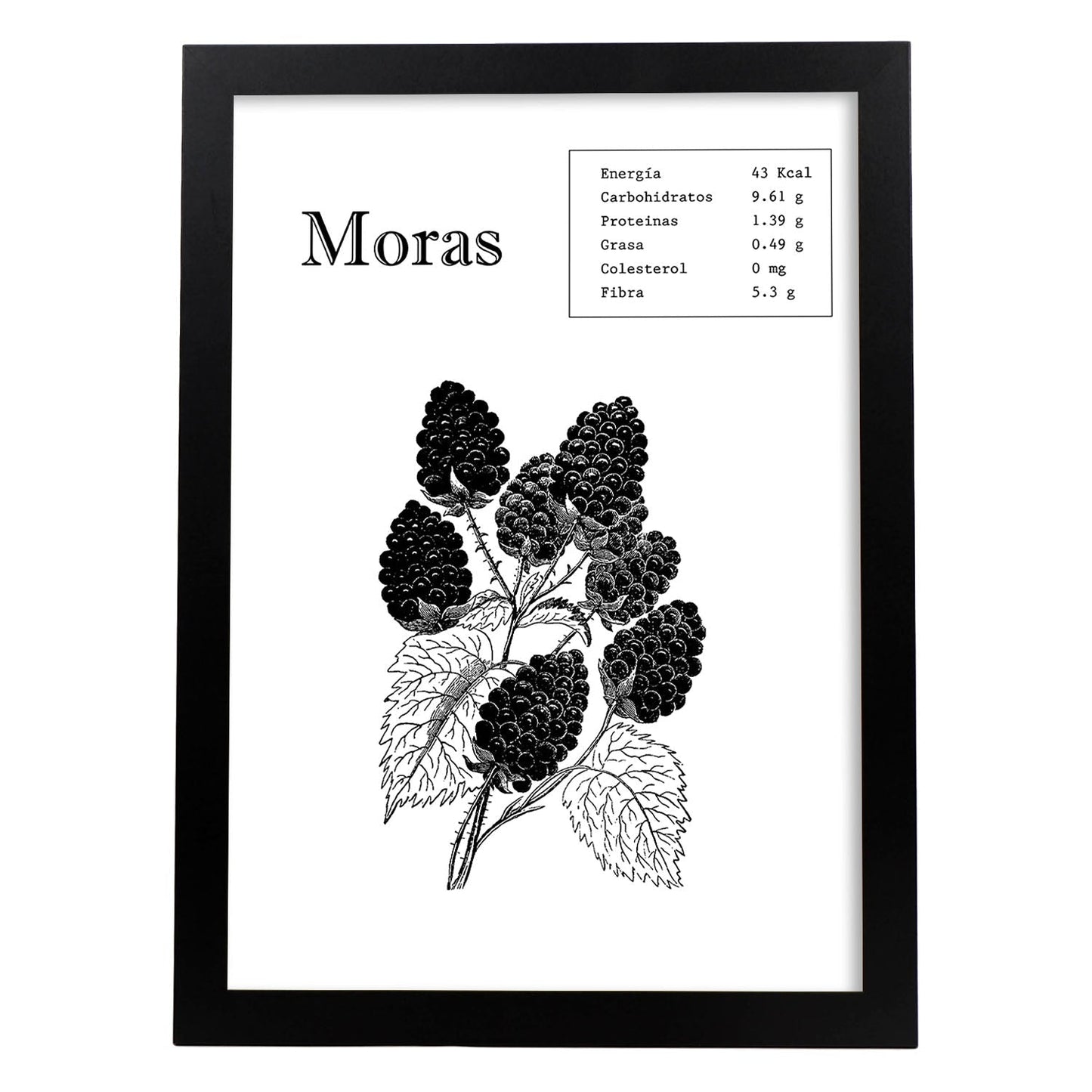 Poster de Moras. Láminas de frutas y verduras.-Artwork-Nacnic-A4-Marco Negro-Nacnic Estudio SL