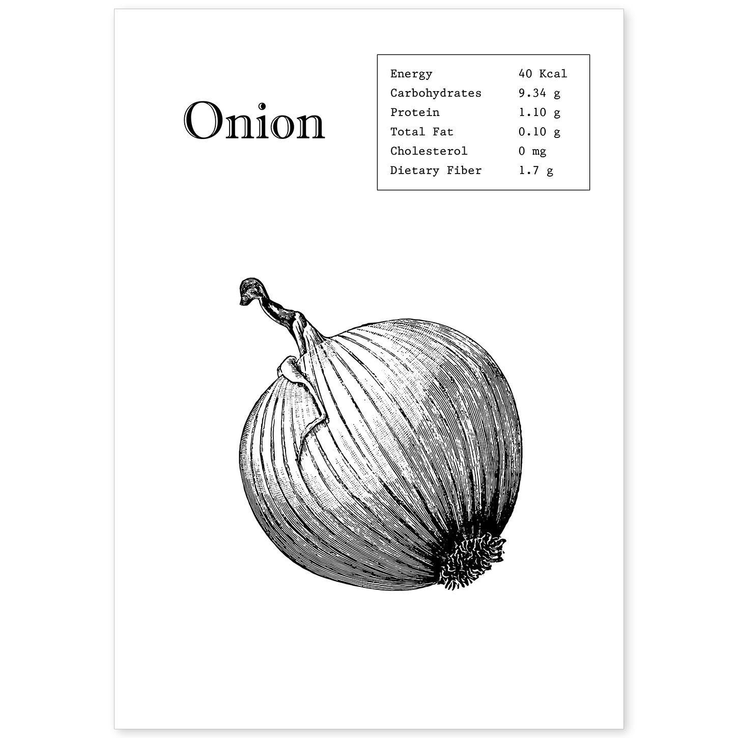 Poster de Onion. Láminas de frutas y verduras en inglés.-Artwork-Nacnic-A4-Sin marco-Nacnic Estudio SL