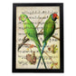 Poster de pajaros. Lámina de Agaporni con partituras. Cuadros de pajaritos con partituras musicales.-Artwork-Nacnic-A4-Marco Negro-Nacnic Estudio SL