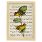 Poster de pajaros. Lámina de Calyptura con partituras. Cuadros de pajaritos con partituras musicales.-Artwork-Nacnic-A3-Marco Madera clara-Nacnic Estudio SL