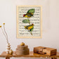 Poster de pajaros. Lámina de Calyptura con partituras. Cuadros de pajaritos con partituras musicales.-Artwork-Nacnic-Nacnic Estudio SL