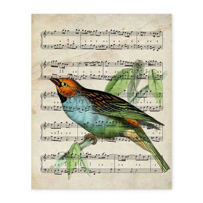 Poster de pajaros. Lámina de Citron con partituras. Cuadros de pajaritos con partituras musicales.-Artwork-Nacnic-A4-Sin marco-Nacnic Estudio SL