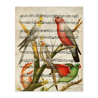 Poster de pajaros. Lámina de Ninfas con partituras. Cuadros de pajaritos con partituras musicales.-Artwork-Nacnic-A4-Sin marco-Nacnic Estudio SL