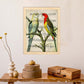 Poster de pajaros. Lámina de Periquitos con partituras. Cuadros de pajaritos con partituras musicales.-Artwork-Nacnic-Nacnic Estudio SL