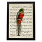 Poster de pajaros. Lámina de Trogan con partituras. Cuadros de pajaritos con partituras musicales.-Artwork-Nacnic-A3-Marco Negro-Nacnic Estudio SL