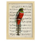Poster de pajaros. Lámina de Trogan con partituras. Cuadros de pajaritos con partituras musicales.-Artwork-Nacnic-A4-Marco Madera clara-Nacnic Estudio SL