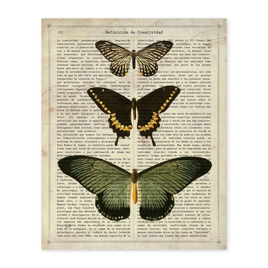 Poster de Papilio zalmoxis. Láminas de mariposas. Decoración de mariposas y polillas.-Artwork-Nacnic-A4-Sin marco-Nacnic Estudio SL