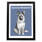 Poster de Pastor Alemán. Lámina decorativa de perros.-Artwork-Nacnic-A4-Marco Negro-Nacnic Estudio SL