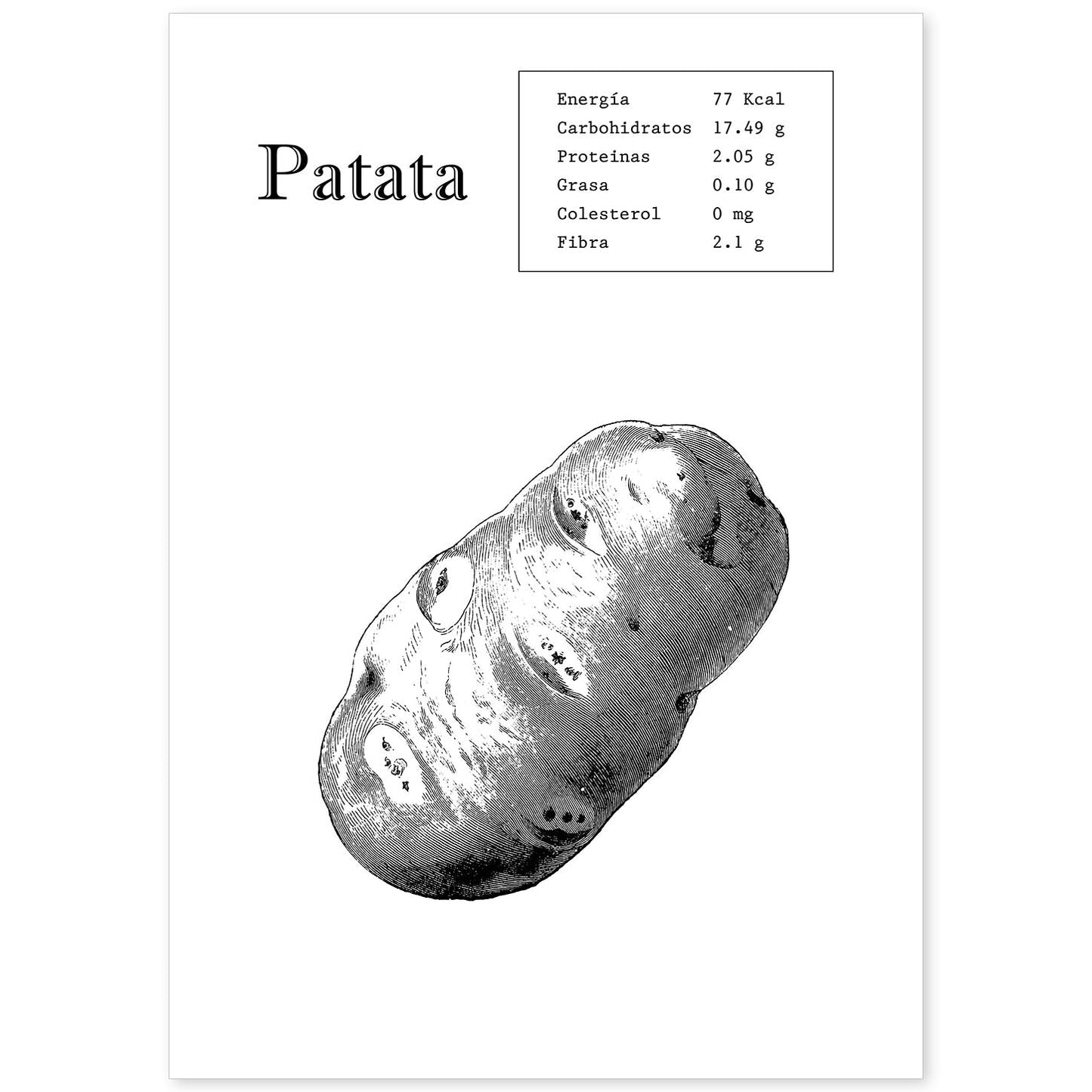 Poster de Patata. Láminas de frutas y verduras.-Artwork-Nacnic-A4-Sin marco-Nacnic Estudio SL