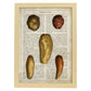 Poster de Patatas y boniatos. Láminas de frutas y verduras con definiciones. Ilustraciones de alimentacion vegetariana.-Artwork-Nacnic-A4-Marco Madera clara-Nacnic Estudio SL