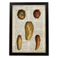 Poster de Patatas y boniatos. Láminas de frutas y verduras con definiciones. Ilustraciones de alimentacion vegetariana.-Artwork-Nacnic-A4-Marco Negro-Nacnic Estudio SL