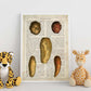 Poster de Patatas y boniatos. Láminas de frutas y verduras con definiciones. Ilustraciones de alimentacion vegetariana.-Artwork-Nacnic-Nacnic Estudio SL