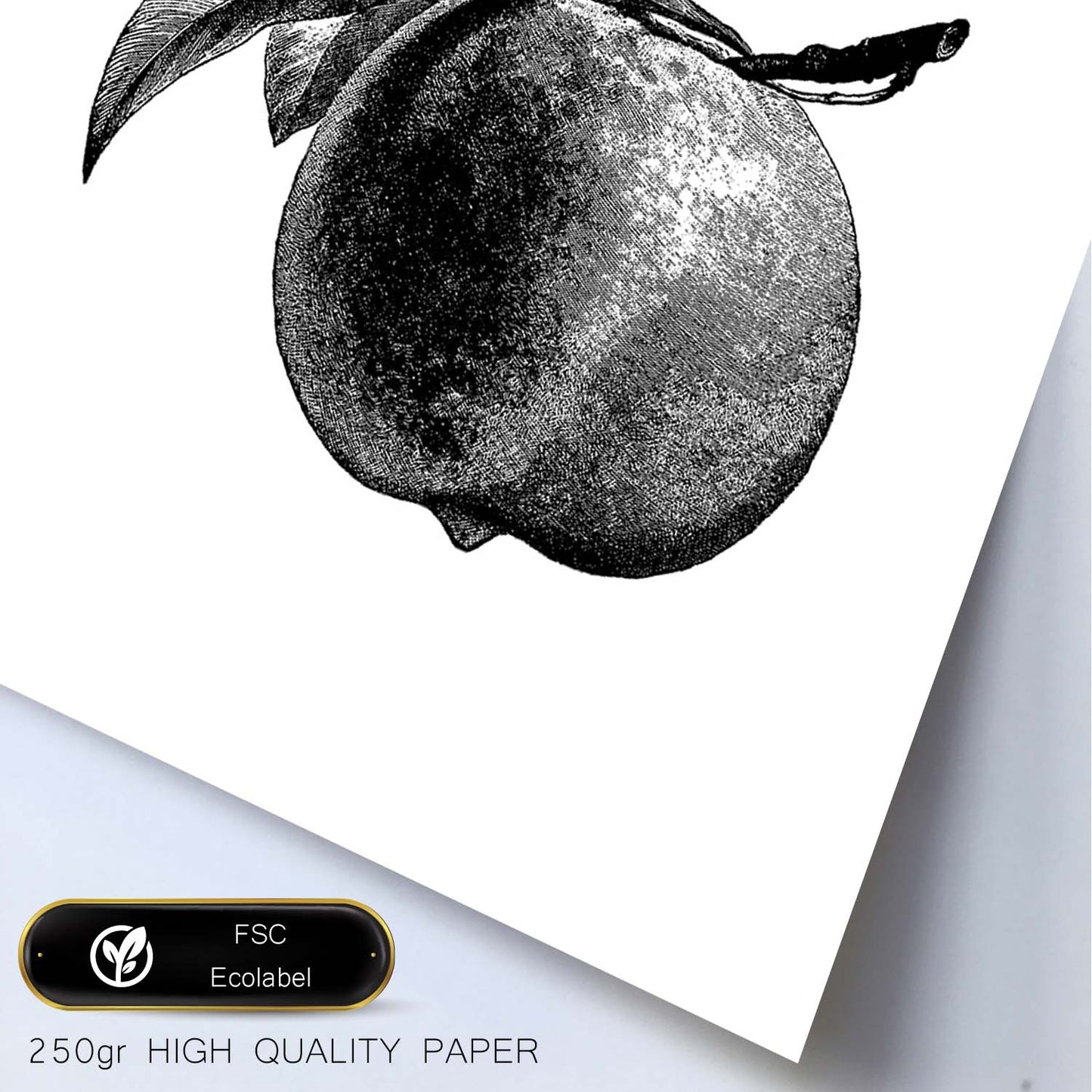 Poster de Peach. Láminas de frutas y verduras en inglés.-Artwork-Nacnic-Nacnic Estudio SL