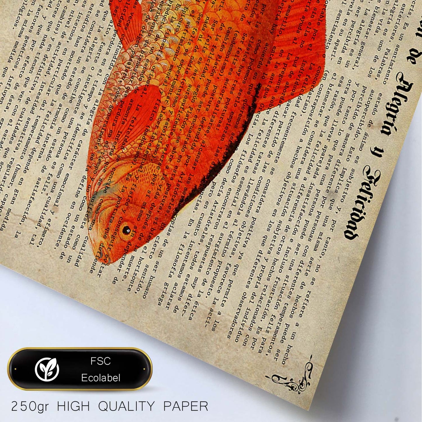 Poster de peces marinos. Lámina de Carpa con definicion. Diseño de peces marinos con definiciones.-Artwork-Nacnic-Nacnic Estudio SL
