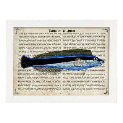 Poster de peces marinos. Lámina de Petroscirtes con definicion. Diseño de peces marinos con definiciones.-Artwork-Nacnic-A4-Marco Blanco-Nacnic Estudio SL