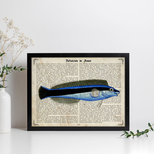 Poster de peces marinos. Lámina de Petroscirtes con definicion. Diseño de peces marinos con definiciones.-Artwork-Nacnic-Nacnic Estudio SL