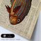 Poster de peces marinos. Lámina de Pez cirujano con definicion. Diseño de peces marinos con definiciones.-Artwork-Nacnic-Nacnic Estudio SL