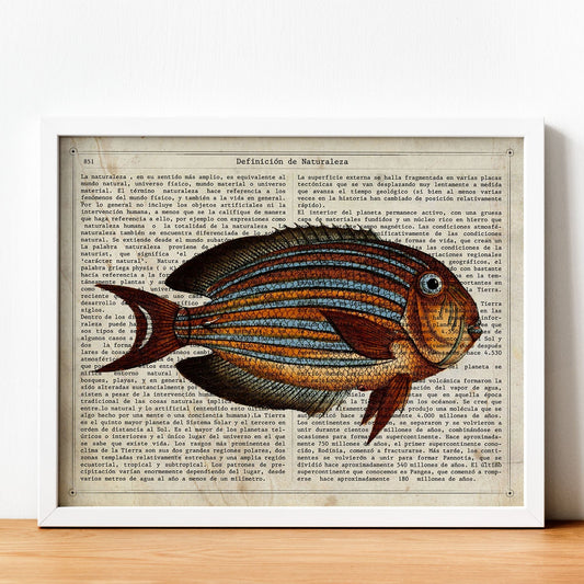 Poster de peces marinos. Lámina de Pez cirujano con definicion. Diseño de peces marinos con definiciones.-Artwork-Nacnic-Nacnic Estudio SL