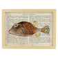 Poster de peces marinos. Lámina de Pez cofre con definicion. Diseño de peces marinos con definiciones.-Artwork-Nacnic-A3-Marco Madera clara-Nacnic Estudio SL