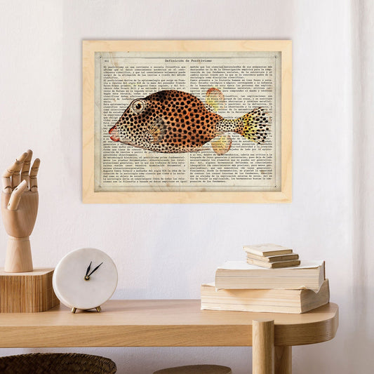Poster de peces marinos. Lámina de Pez cofre con definicion. Diseño de peces marinos con definiciones.-Artwork-Nacnic-Nacnic Estudio SL