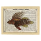 Poster de peces marinos. Lámina de Pez escorpión con definicion. Diseño de peces marinos con definiciones.-Artwork-Nacnic-A3-Marco Madera clara-Nacnic Estudio SL