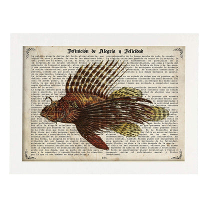 Poster de peces marinos. Lámina de Pez escorpión con definicion. Diseño de peces marinos con definiciones.-Artwork-Nacnic-A4-Marco Blanco-Nacnic Estudio SL
