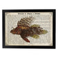 Poster de peces marinos. Lámina de Pez escorpión con definicion. Diseño de peces marinos con definiciones.-Artwork-Nacnic-A4-Marco Negro-Nacnic Estudio SL