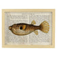 Poster de peces marinos. Lámina de Pez globo con definicion. Diseño de peces marinos con definiciones.-Artwork-Nacnic-A3-Marco Madera clara-Nacnic Estudio SL