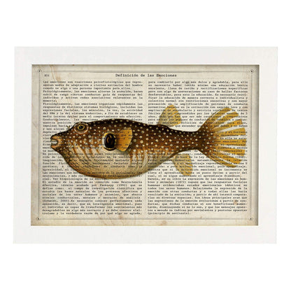 Poster de peces marinos. Lámina de Pez globo con definicion. Diseño de peces marinos con definiciones.-Artwork-Nacnic-A4-Marco Blanco-Nacnic Estudio SL