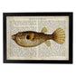 Poster de peces marinos. Lámina de Pez globo con definicion. Diseño de peces marinos con definiciones.-Artwork-Nacnic-A4-Marco Negro-Nacnic Estudio SL