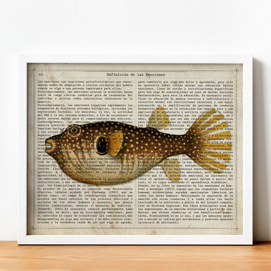 Poster de peces marinos. Lámina de Pez globo con definicion. Diseño de peces marinos con definiciones.-Artwork-Nacnic-Nacnic Estudio SL