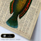 Poster de peces marinos. Lámina de Pez loro con definicion. Diseño de peces marinos con definiciones.-Artwork-Nacnic-Nacnic Estudio SL