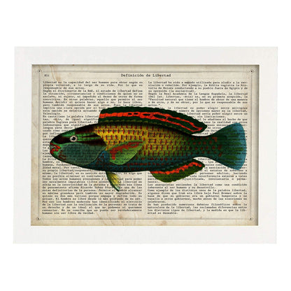 Poster de peces marinos. Lámina de Pez loro con definicion. Diseño de peces marinos con definiciones.-Artwork-Nacnic-A4-Marco Blanco-Nacnic Estudio SL