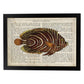 Poster de peces marinos. Lámina de Pez mariposa con definicion. Diseño de peces marinos con definiciones.-Artwork-Nacnic-A3-Marco Negro-Nacnic Estudio SL