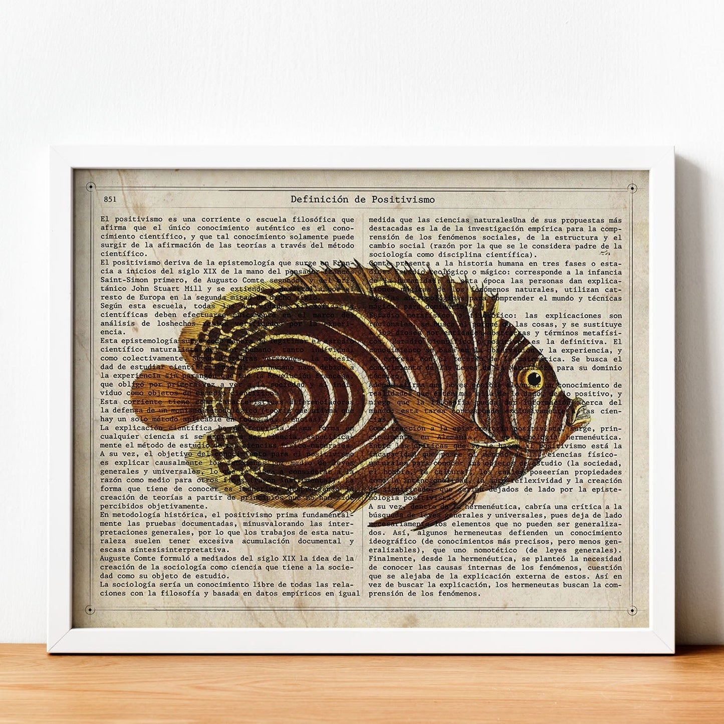 Poster de peces marinos. Lámina de Pez mariposa con definicion. Diseño de peces marinos con definiciones.-Artwork-Nacnic-Nacnic Estudio SL