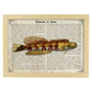 Poster de peces marinos. Lámina de Salarias 2 con definicion. Diseño de peces marinos con definiciones.-Artwork-Nacnic-A3-Marco Madera clara-Nacnic Estudio SL