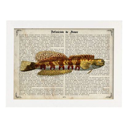 Poster de peces marinos. Lámina de Salarias 2 con definicion. Diseño de peces marinos con definiciones.-Artwork-Nacnic-A4-Marco Blanco-Nacnic Estudio SL