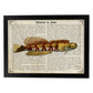 Poster de peces marinos. Lámina de Salarias 2 con definicion. Diseño de peces marinos con definiciones.-Artwork-Nacnic-A4-Marco Negro-Nacnic Estudio SL