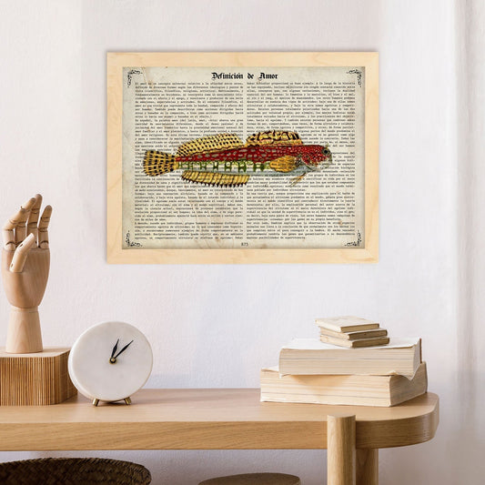 Poster de peces marinos. Lámina de Salarias con definicion. Diseño de peces marinos con definiciones.-Artwork-Nacnic-Nacnic Estudio SL