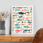 Póster de Peces Multicolores