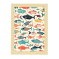 Póster de Peces Multicolores