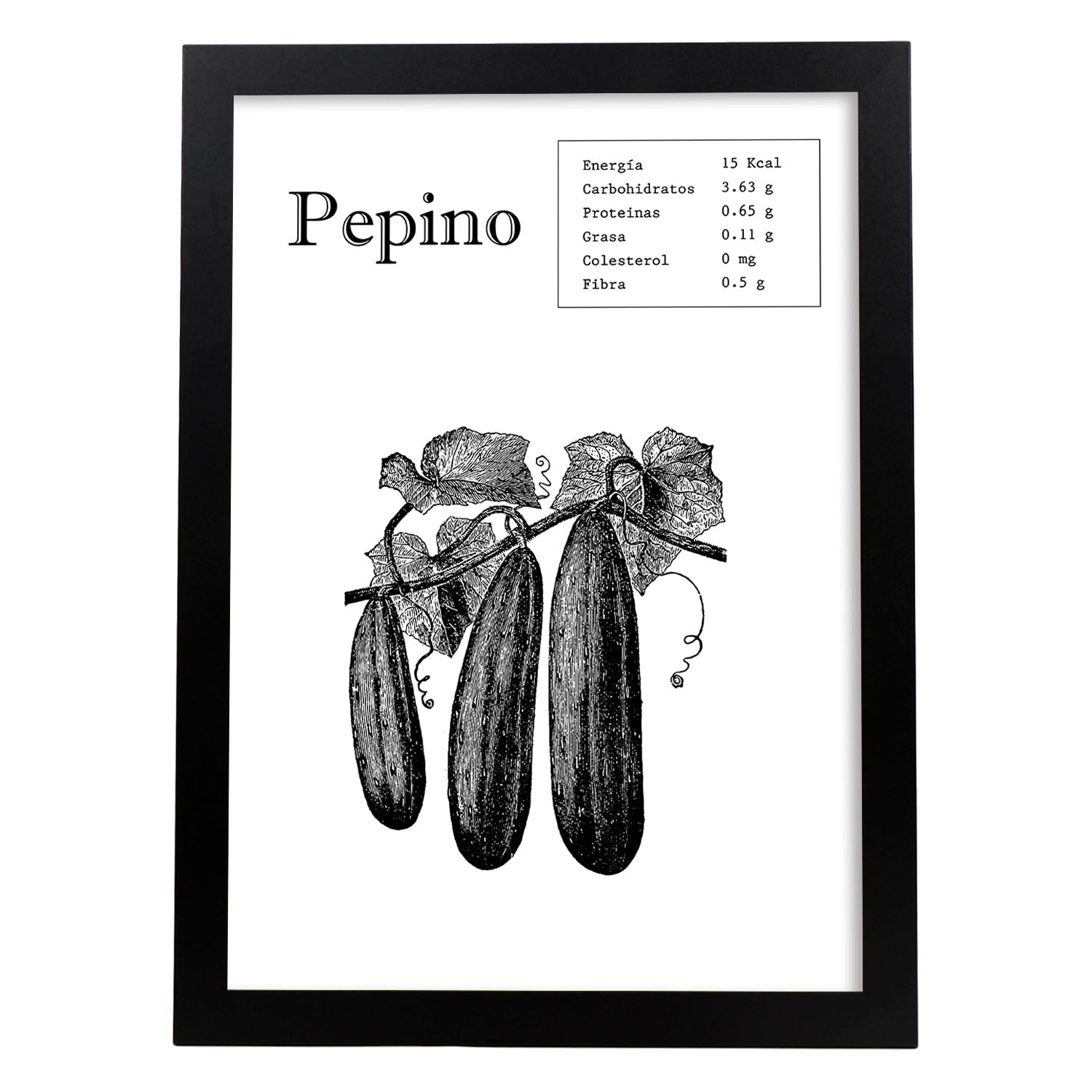 Poster de Pepino. Láminas de frutas y verduras.-Artwork-Nacnic-A3-Marco Negro-Nacnic Estudio SL