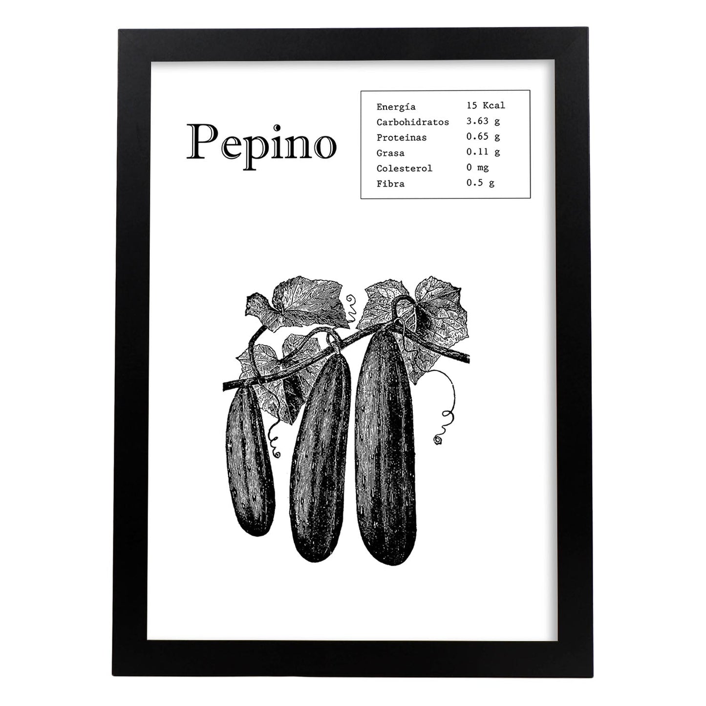 Poster de Pepino. Láminas de frutas y verduras.-Artwork-Nacnic-A4-Marco Negro-Nacnic Estudio SL
