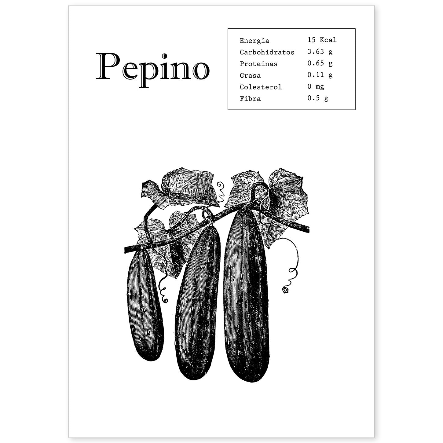 Poster de Pepino. Láminas de frutas y verduras.-Artwork-Nacnic-A4-Sin marco-Nacnic Estudio SL