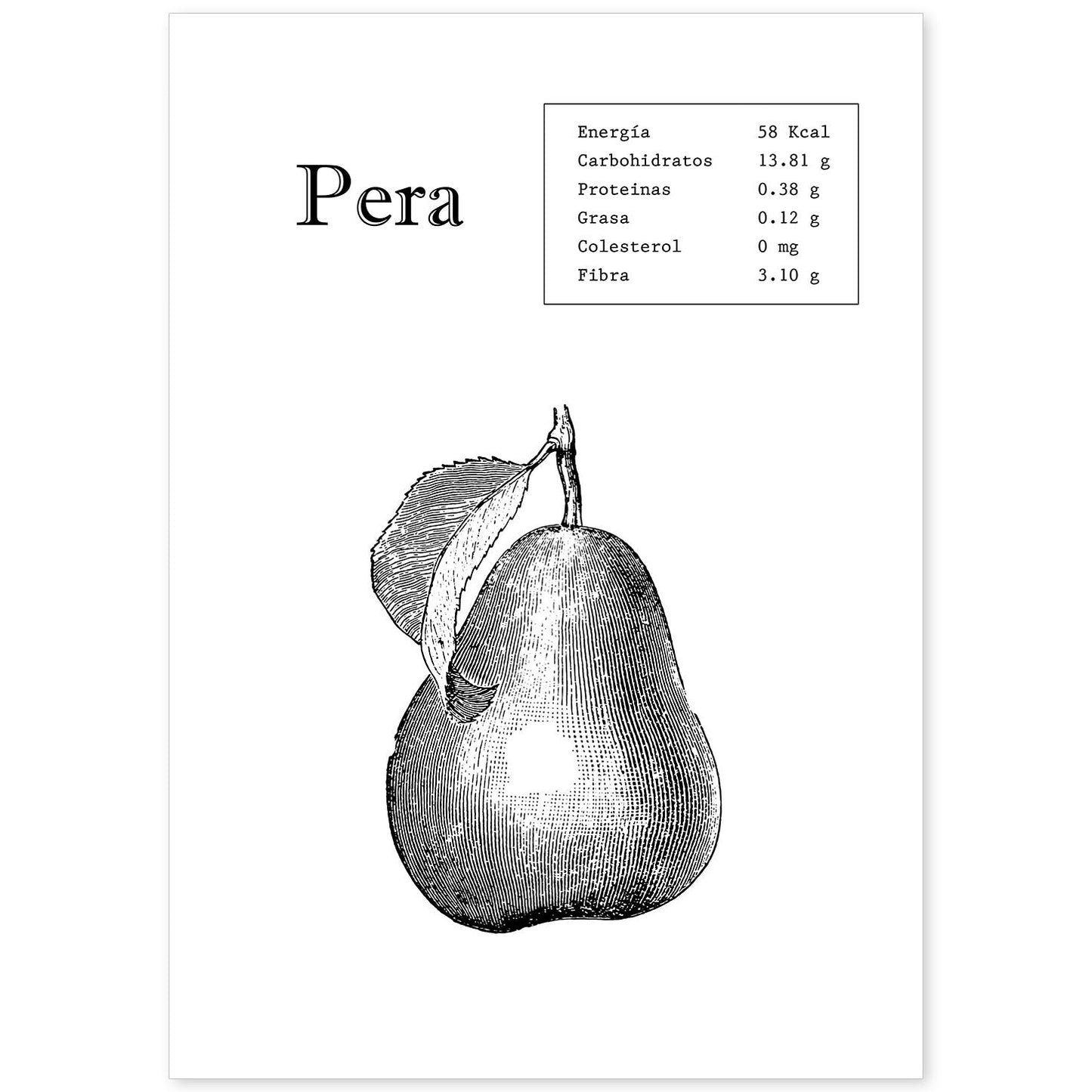 Poster de Pera. Láminas de frutas y verduras.-Artwork-Nacnic-A4-Sin marco-Nacnic Estudio SL