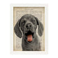 Poster de Perro con lengua fuera. Láminas de animales con definiciones. Ilustraciones de animales con textos.-Artwork-Nacnic-A3-Marco Blanco-Nacnic Estudio SL