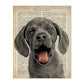 Poster de Perro con lengua fuera. Láminas de animales con definiciones. Ilustraciones de animales con textos.-Artwork-Nacnic-A4-Sin marco-Nacnic Estudio SL